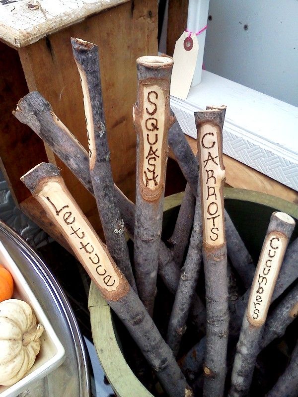 Get Creative With Those Plant Labels